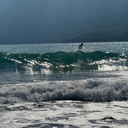 With The Comfort Of *