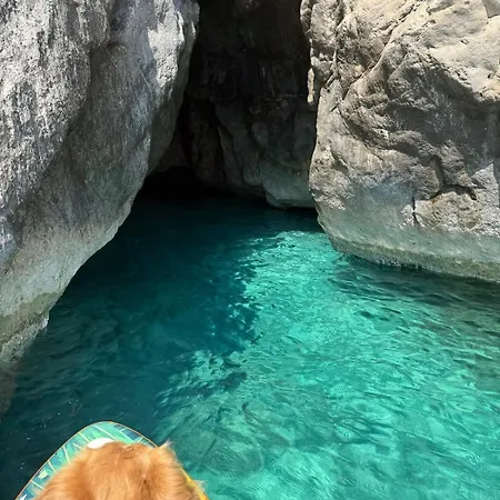 With The Comfort Of * Κεμέρ