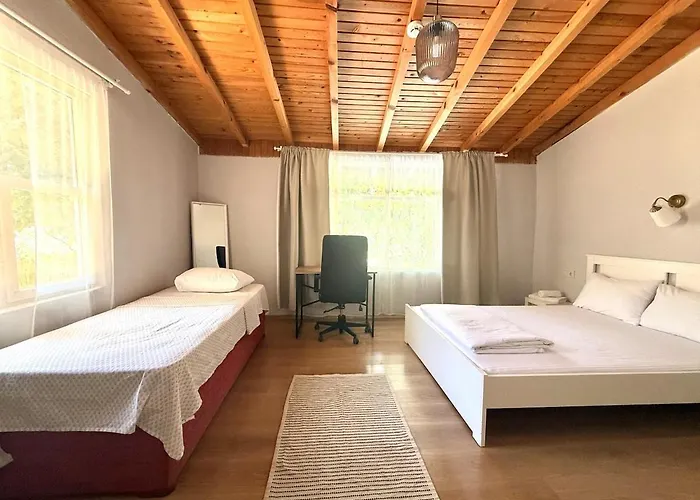 With The Comfort Of *