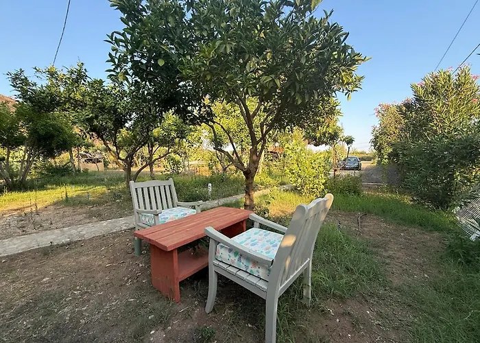 Feriehus With The Comfort Of *