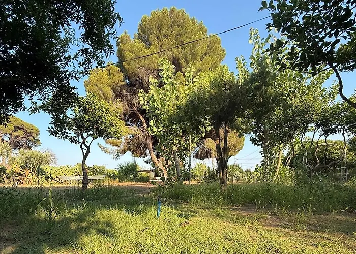 With The Comfort Of Dom wakacyjny *