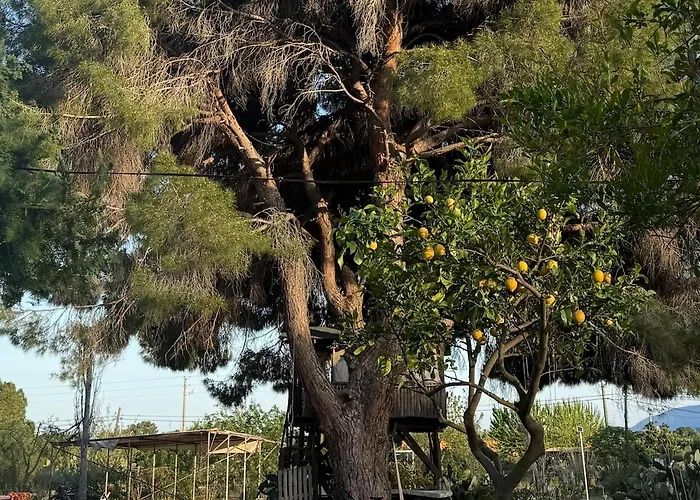 Feriehus With The Comfort Of *