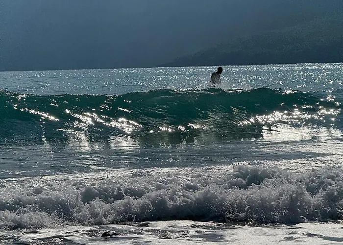 With The Comfort Of *